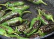 Padron peppers